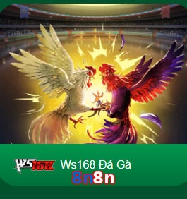 8n8n